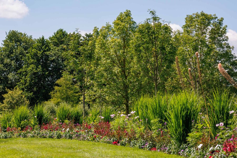 Microclimatic landscape design