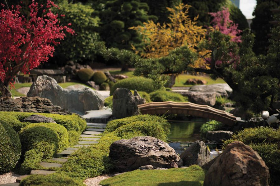 Zen rock and sand garden
